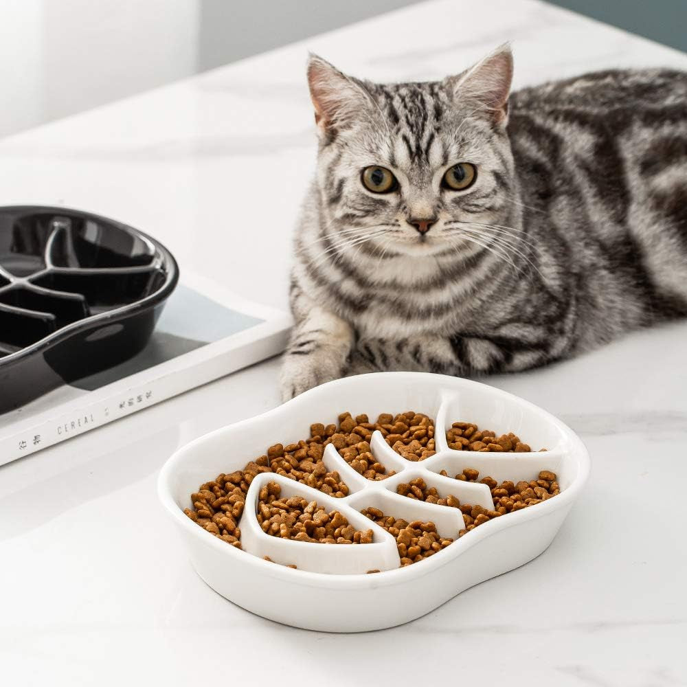 Slow Feeder Cat Bowl - Slow down Cat Food Dish for Healthy Eating - Fun Interactive Maze Design - Bloating Stop, anti Gulping, Improve Digestion - White