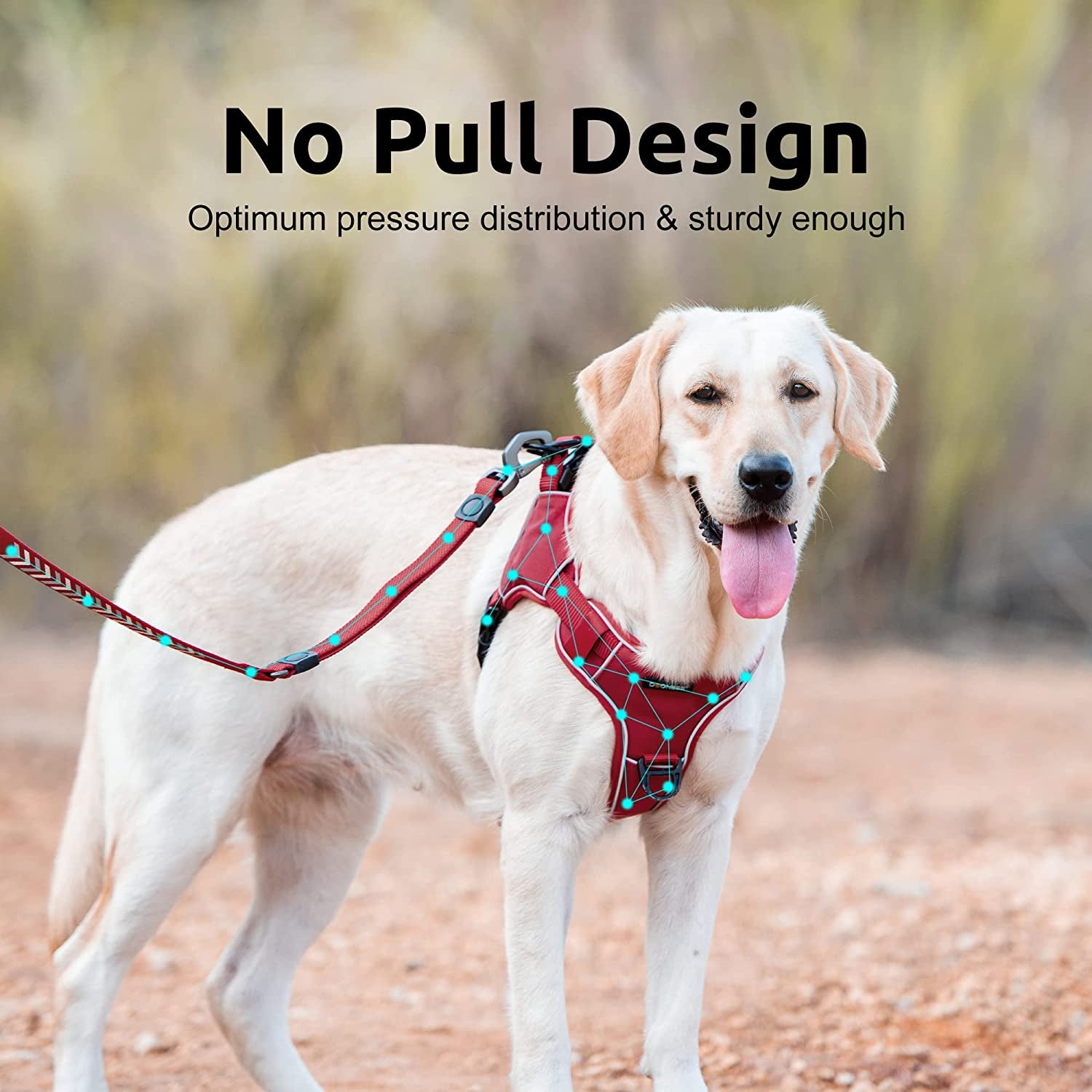 Reflective Dog Harness No Pull Waterproof Dog Vest Harness Adjustable Pet Vest Harness for Dogs Red L/XL